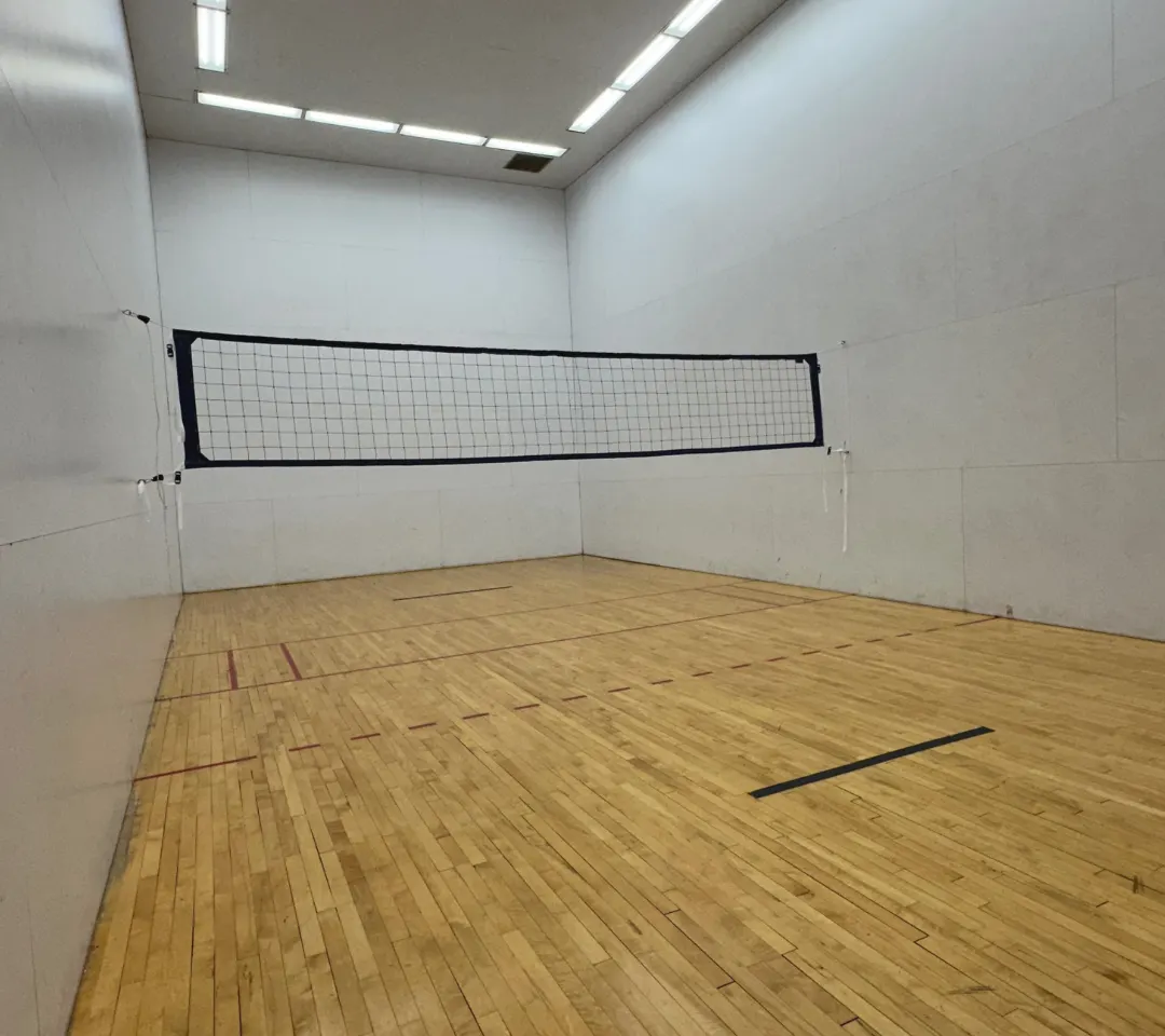 Walleyball