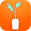 Carrot